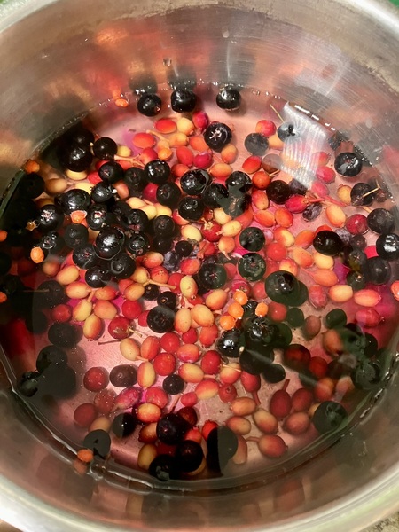 Buckthorn Berry and Siebold's Vibernum Ink Cooking